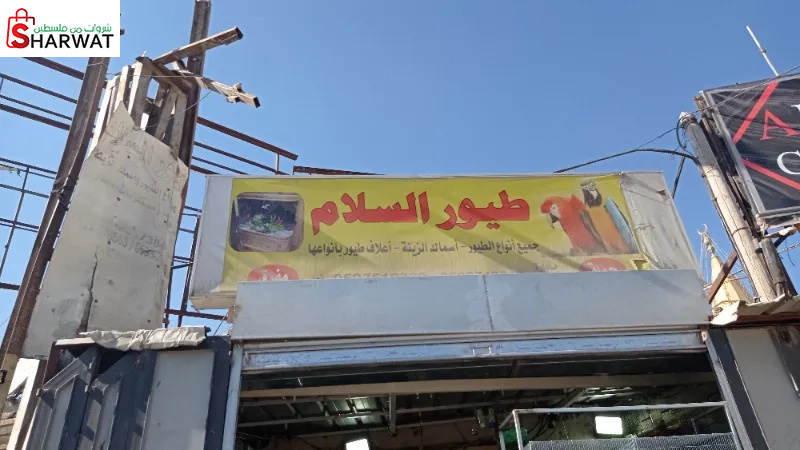 طيور السلام