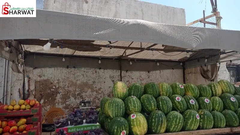 بكر للخضار والفواكة