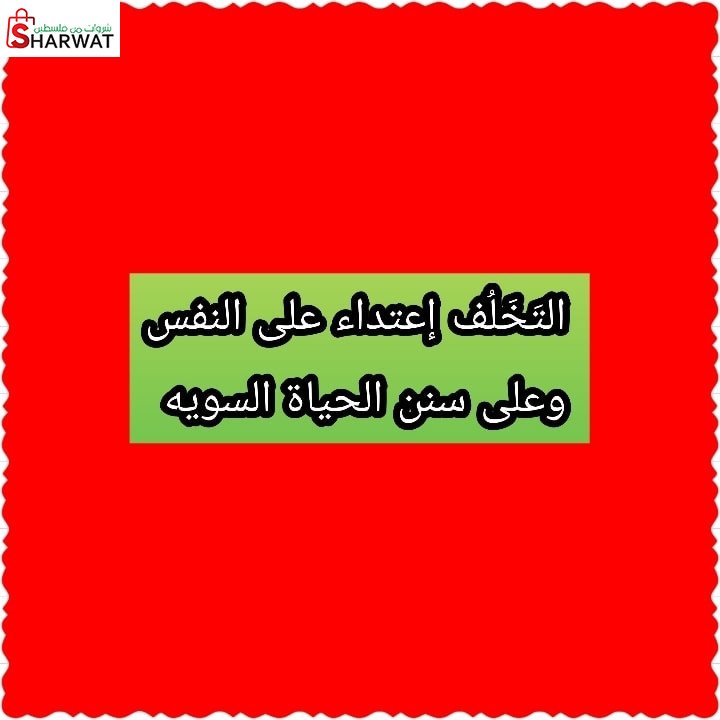 مدرسة وروضة عمار بن ياسر