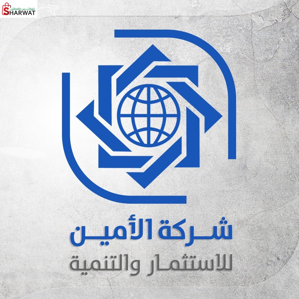 الامين للتمويل والاستثمار