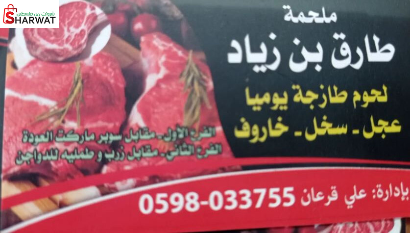 ملحمة طارق بن زياد