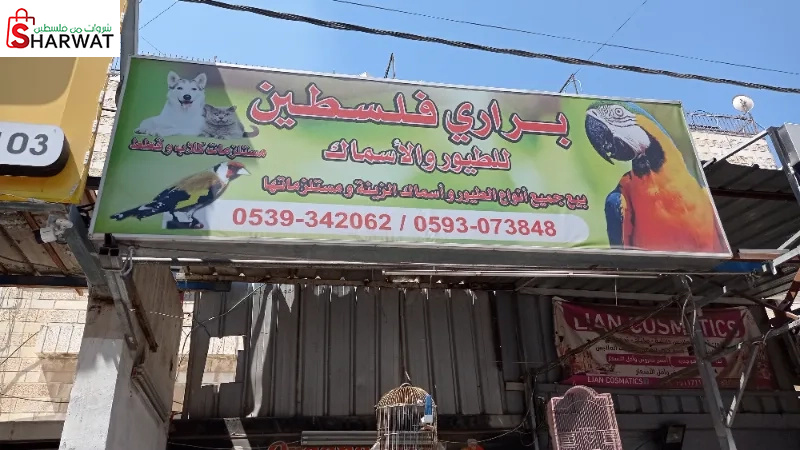 براري فلسطين للطيور و الاسماك