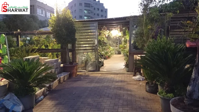 ازهار الريحان