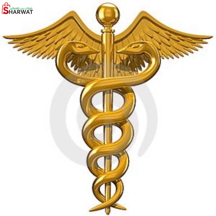 د.صائب عواد