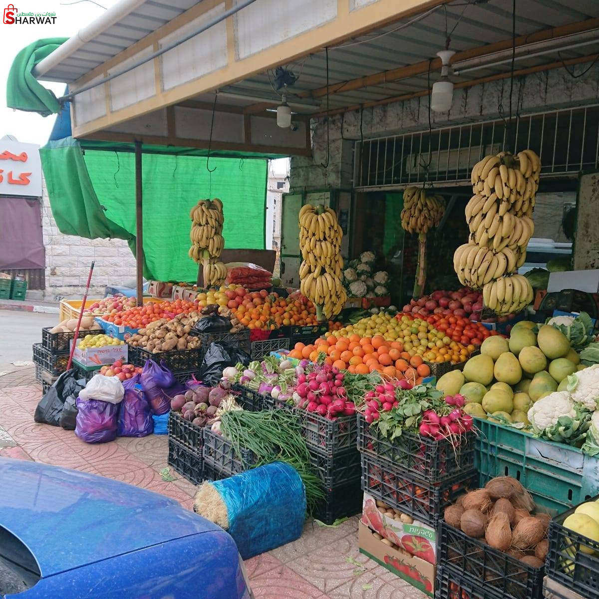 الرائد للخضار والفواكه