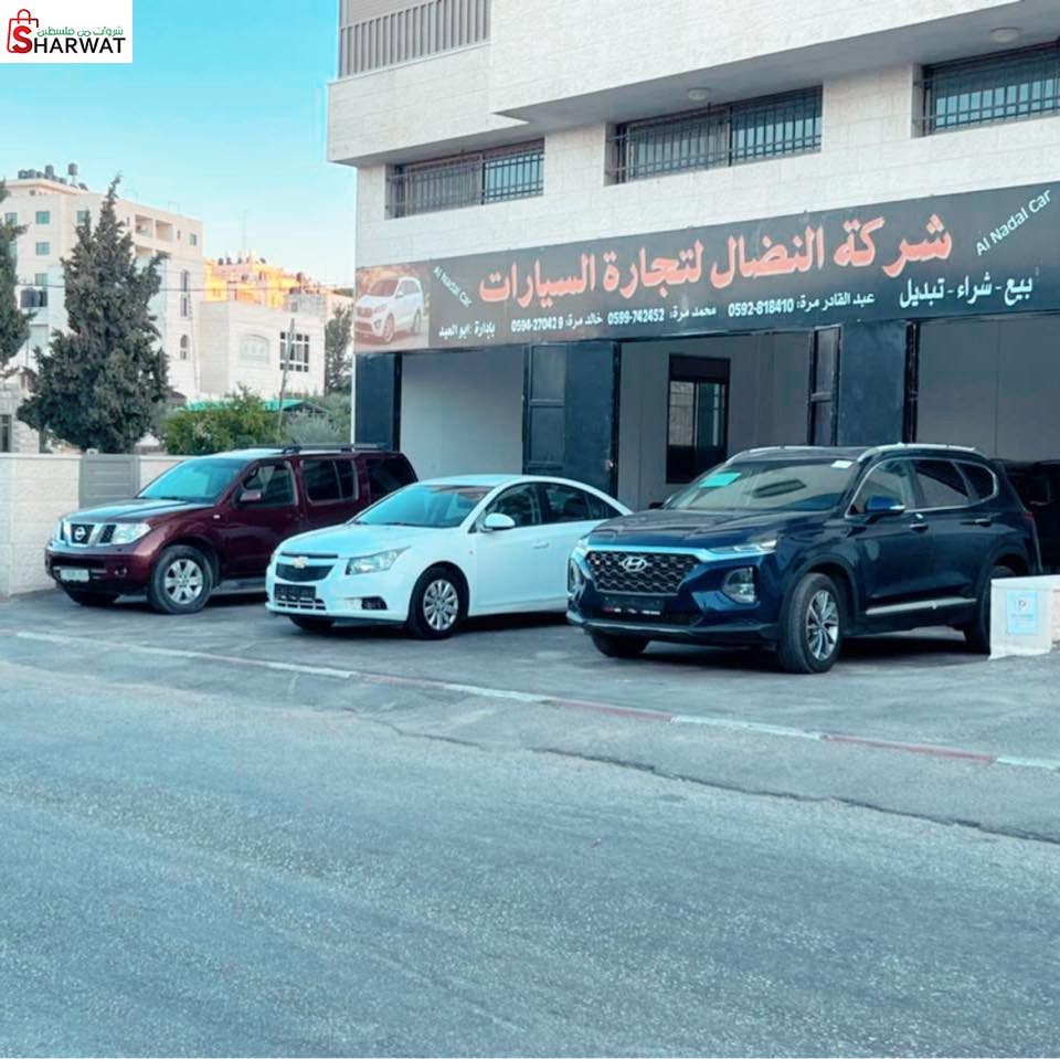 معرض النضال_ AL_Nedal Cars