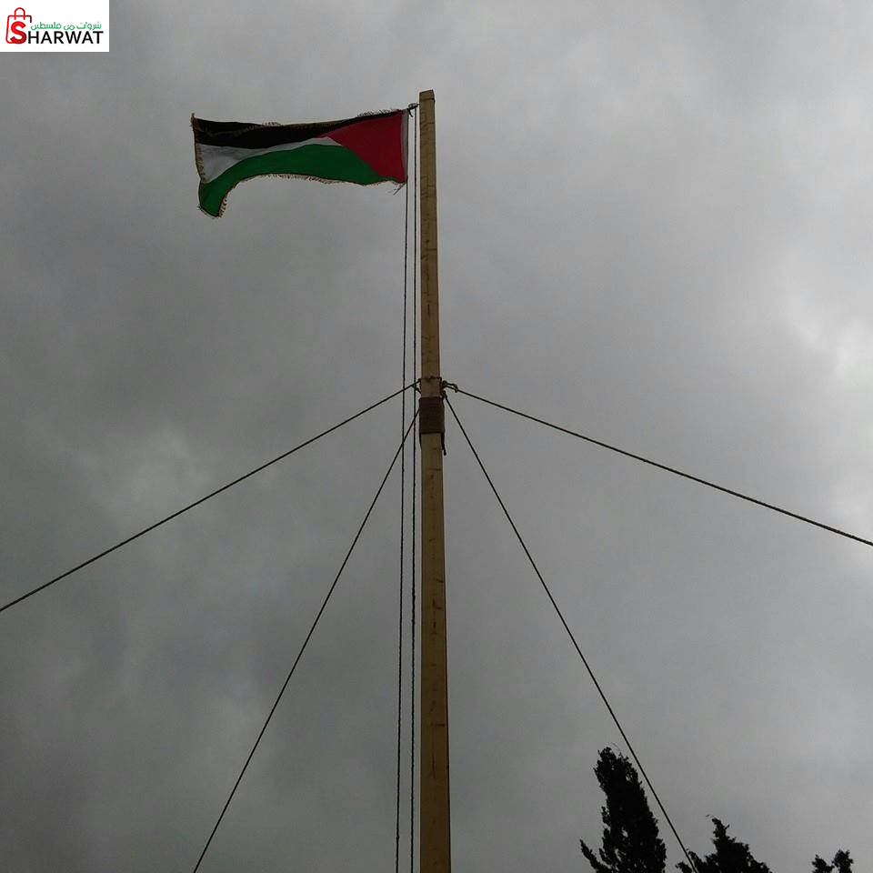 مدرسة سفارين الثانوية المختلطة