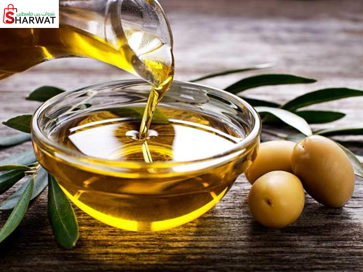 شركة المنصور لعصر الزيتون