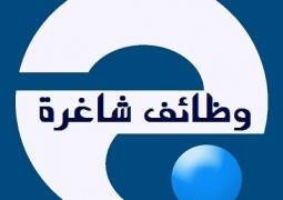 شركة هاير للحلول الذكية والتوظيف