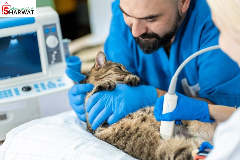 الشركة الفلسطينية للادوية البيطرية ( بي.في.سي. ) Image 1