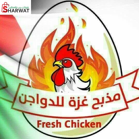 مذبح غزة الجديد