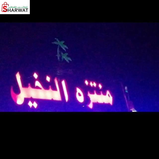 مسبح ومنتزه النخيل