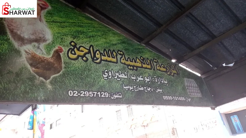 المزرعة الذهبية للدواجن