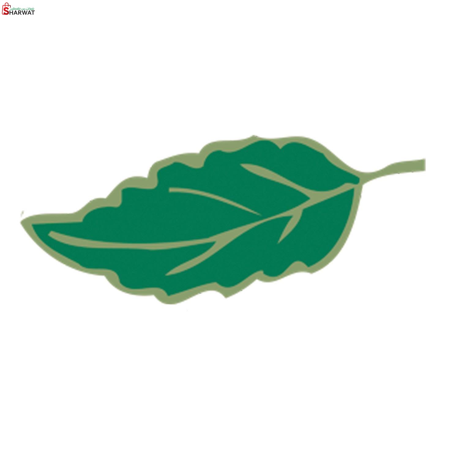 بحر الاعشاب