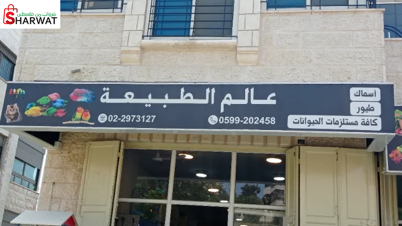 عالم الطبيعة للاسماك