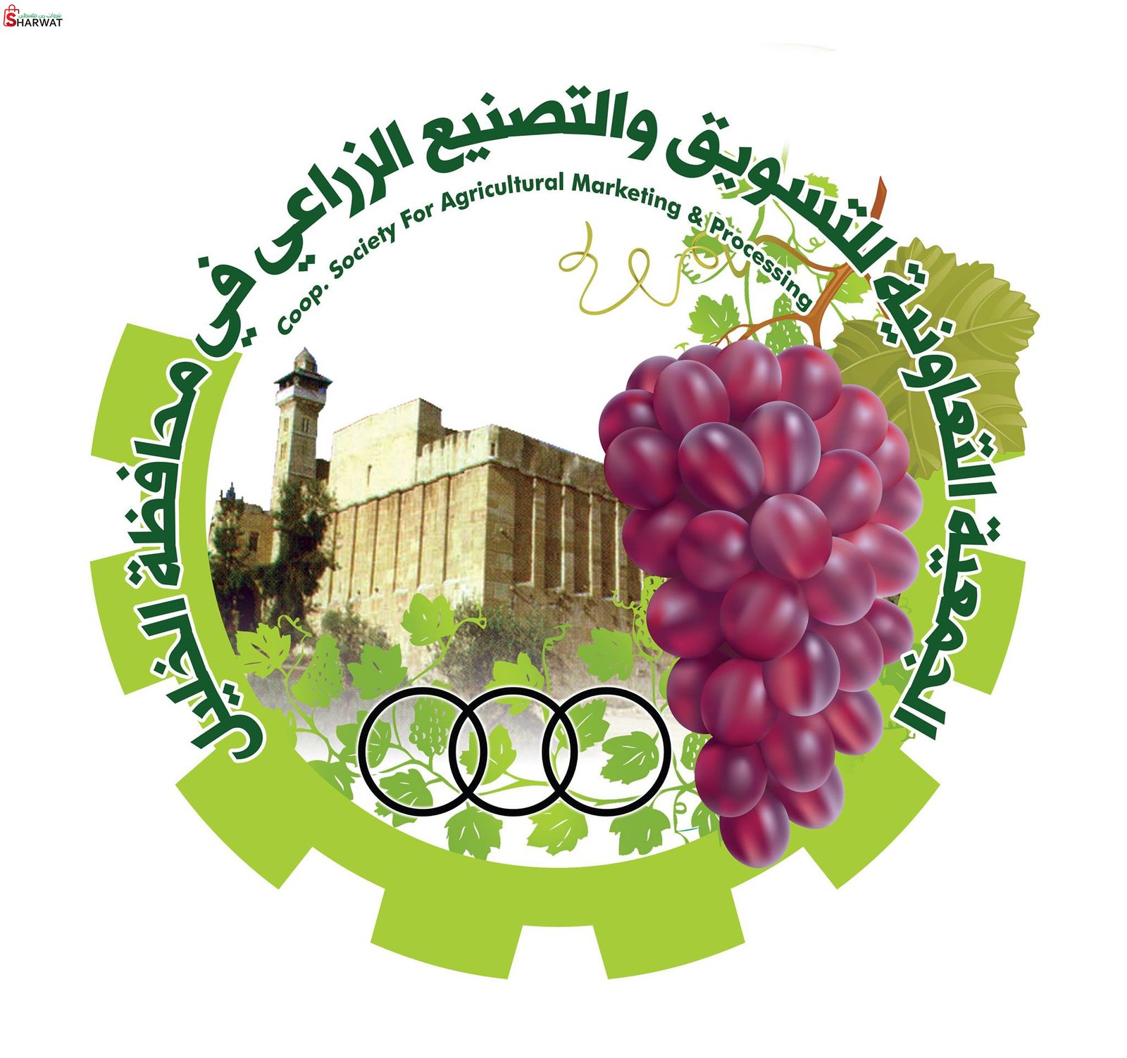 الجمعية التعاونية للتسويق والتصني...