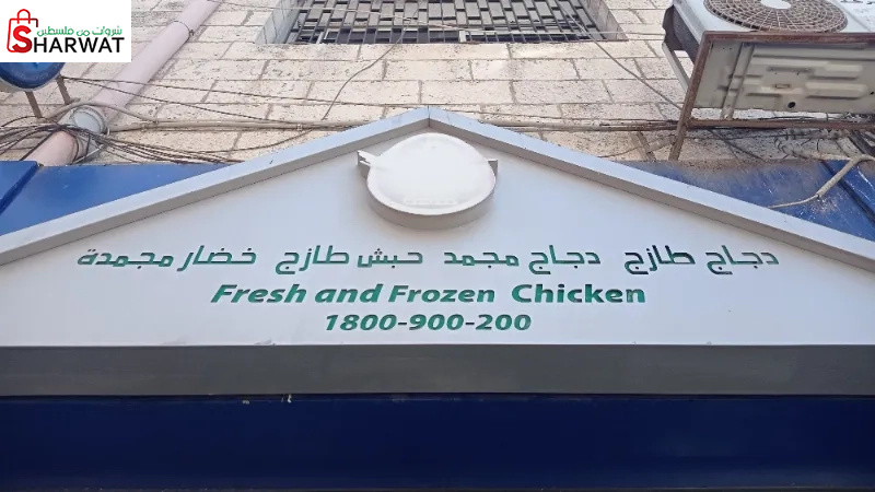 دواجن فلسطين العزيزة