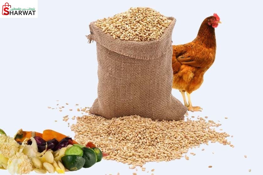 شركة هايل واخوانه للأعلاف