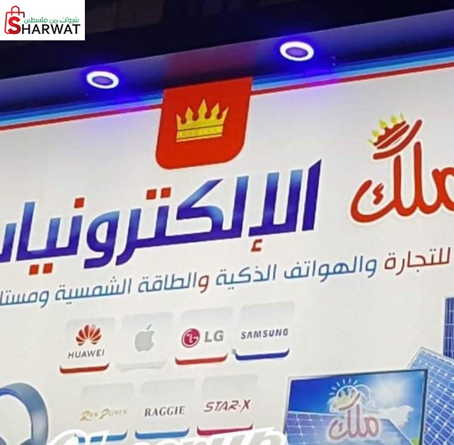 ملك الالكترونيات