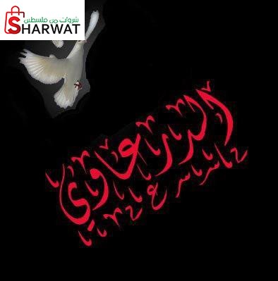 محلات الدرعاوي للادوات الصحية