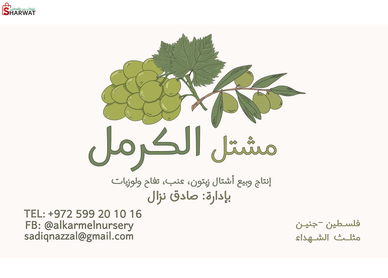مشتل الكرمل