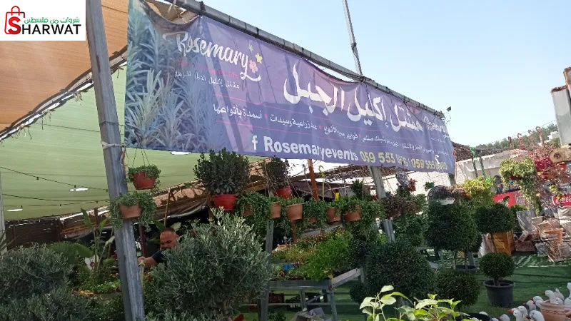 مشتل اكليل الجبل