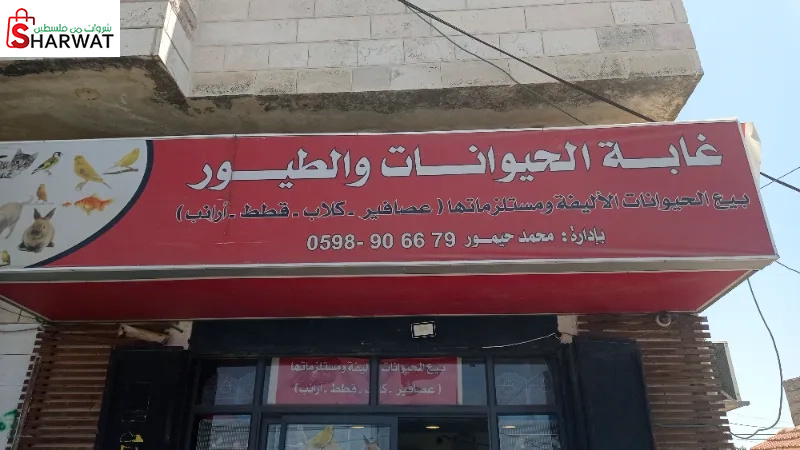 غابة الحيوانات والطيور