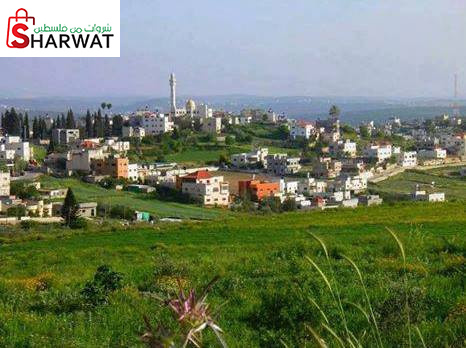 مجلس قروي جين صافوط