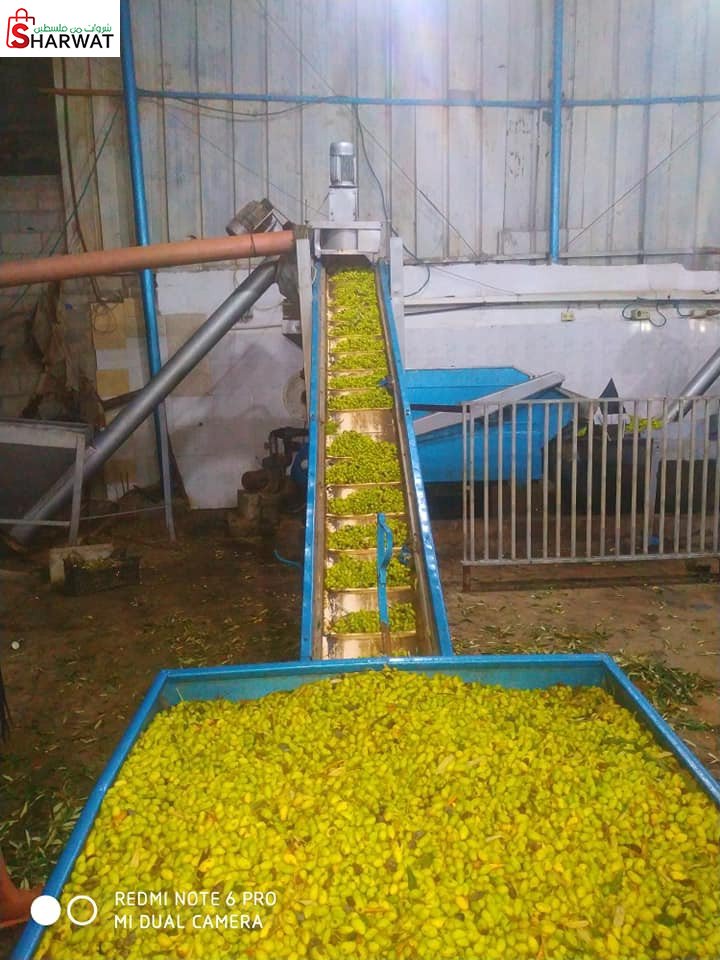 معصرة البركة