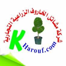 مشاتل الخاروف