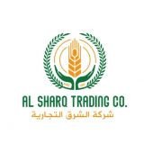 شركة الشرق التجارية