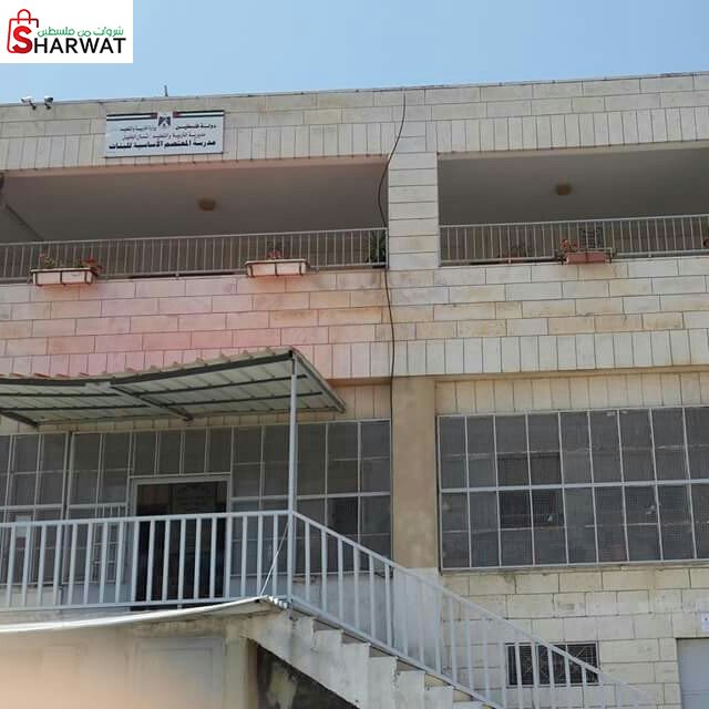 مدرسة المعتصم الاساسية للبنات