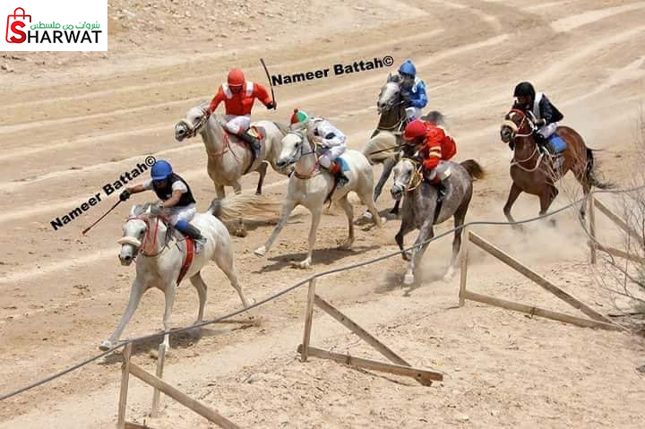 فندق ومنتجع مدينة القمر