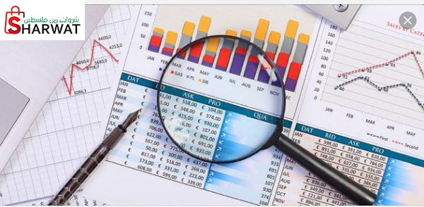 النورس للاستثمارات المالية
