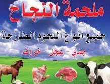 ملحمة النجاح