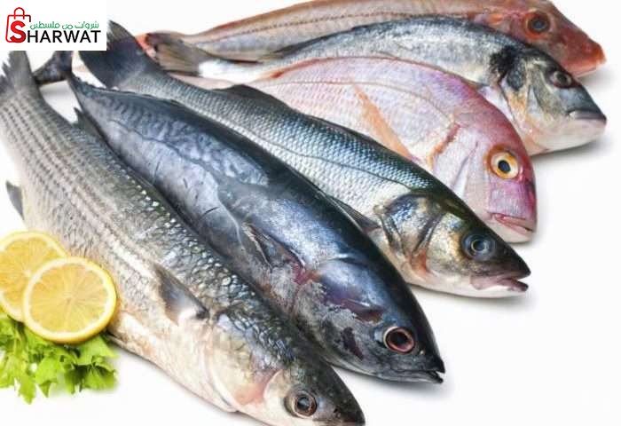 سوق حلال للاسماك الطازجه