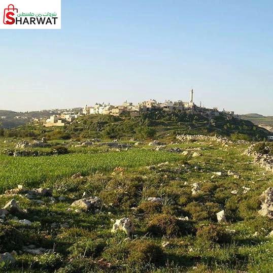 مجلس قروي الرامة