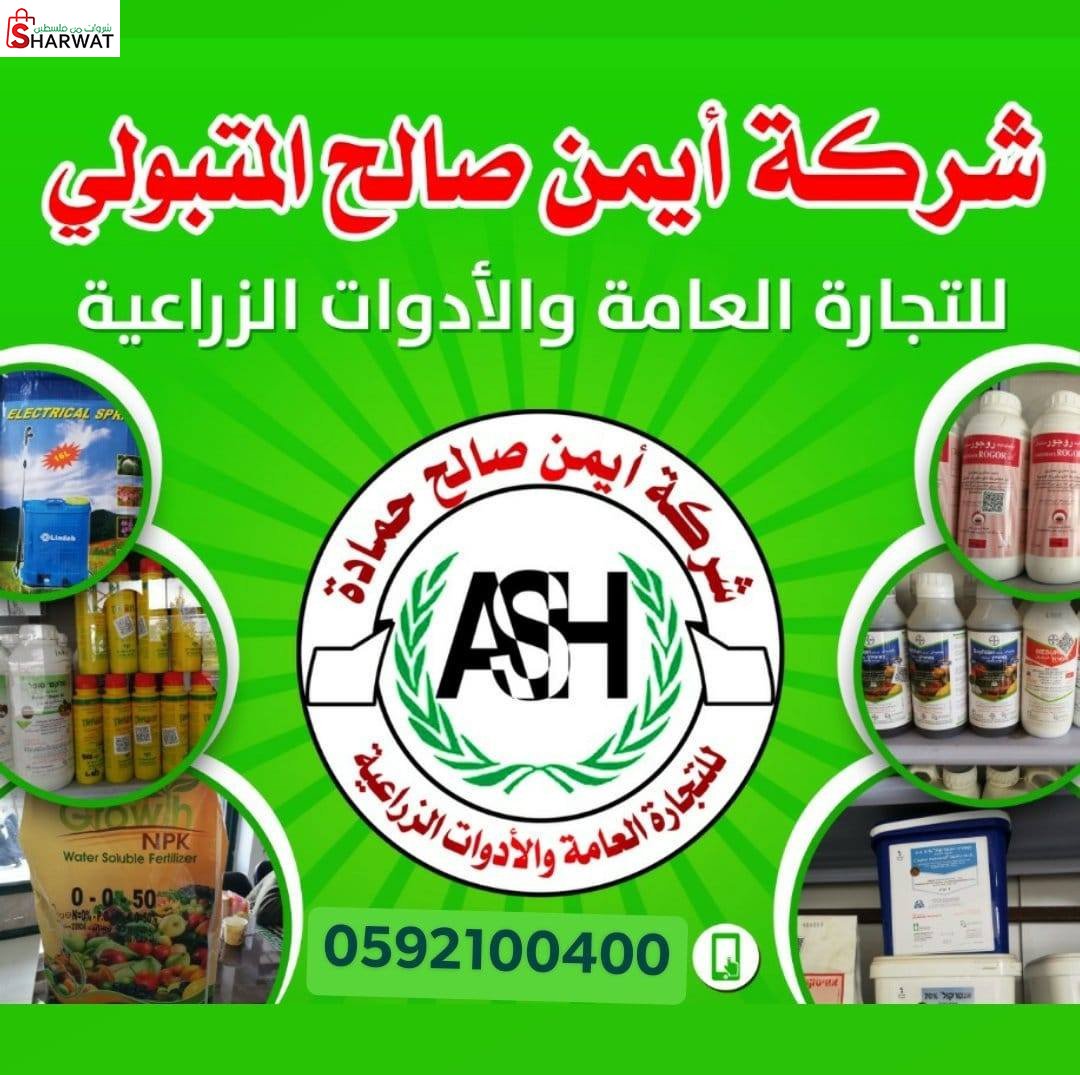 ايمن صالح حمادة