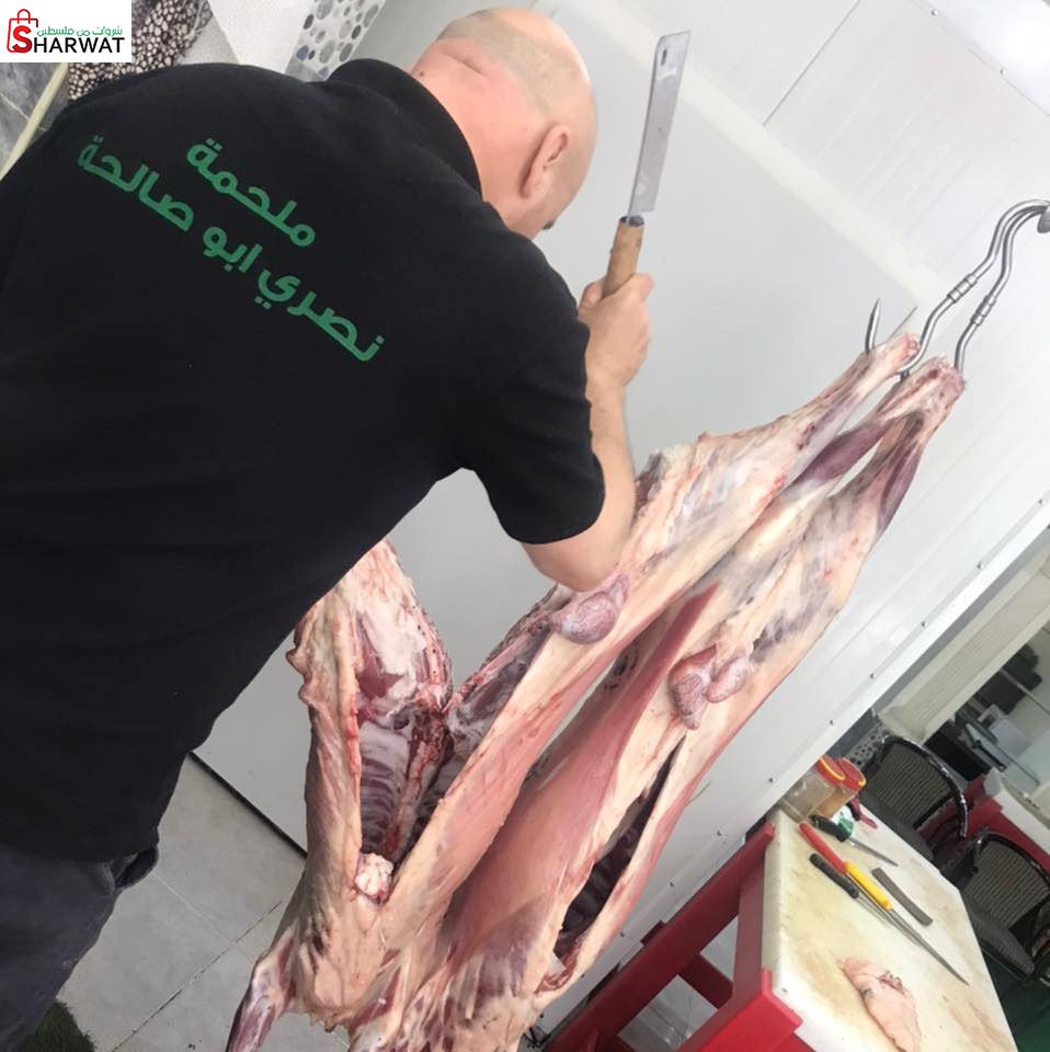 ملحمة نصري ابو صالحة